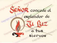 602 Light - Spanish  Mass Card for the Dead