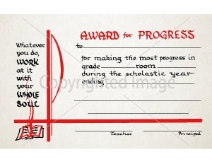 Award For Excellence School Certificate